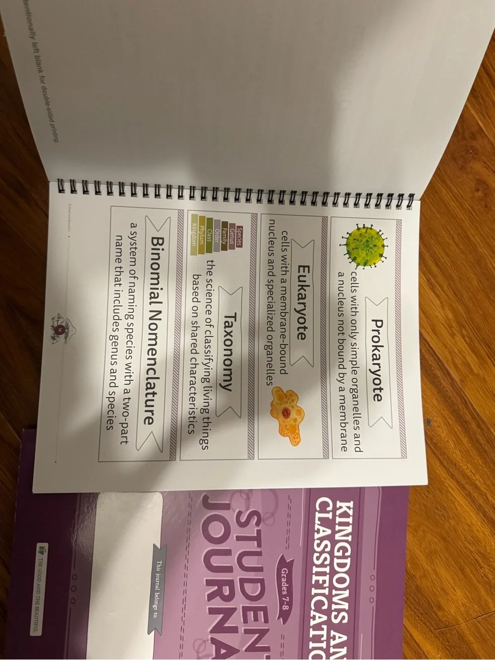 TGAB Kingdoms and Classification Science Unit Study